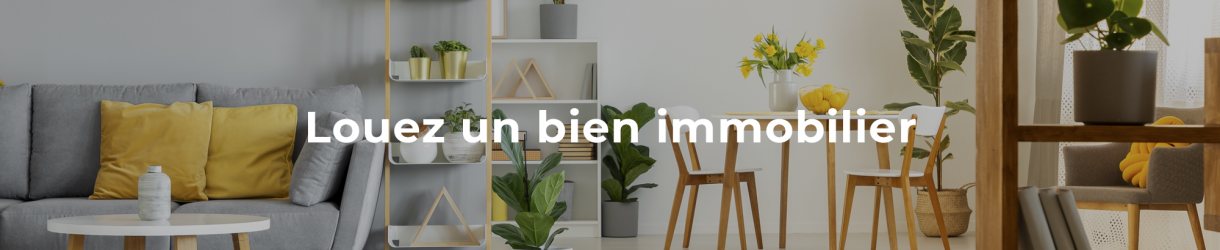 annonces locations immobilières